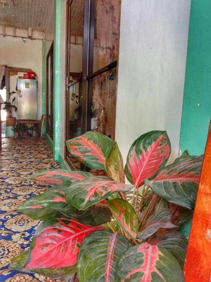 Abba Homestay General Luna  Esterno foto